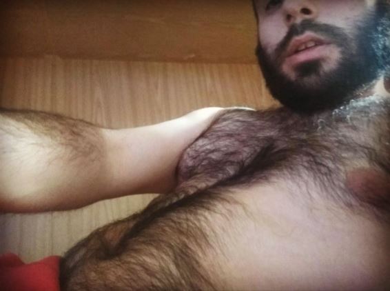 Stefano 3