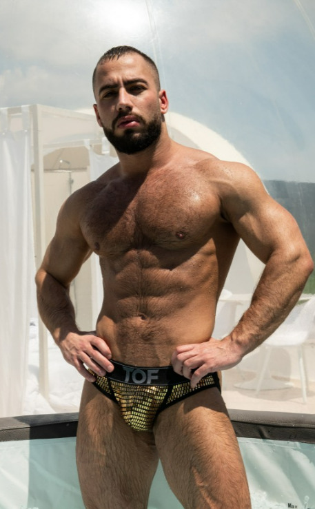 Muscle 14