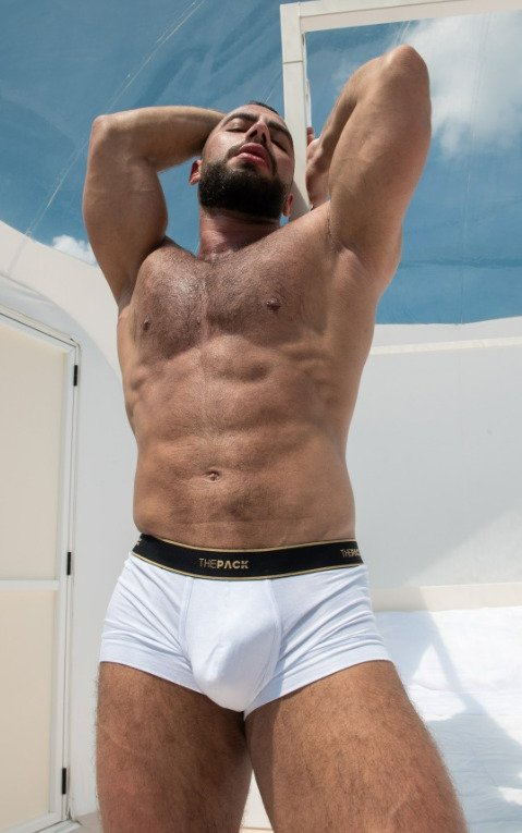 Muscle 17