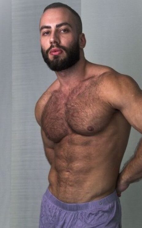 Muscle 31