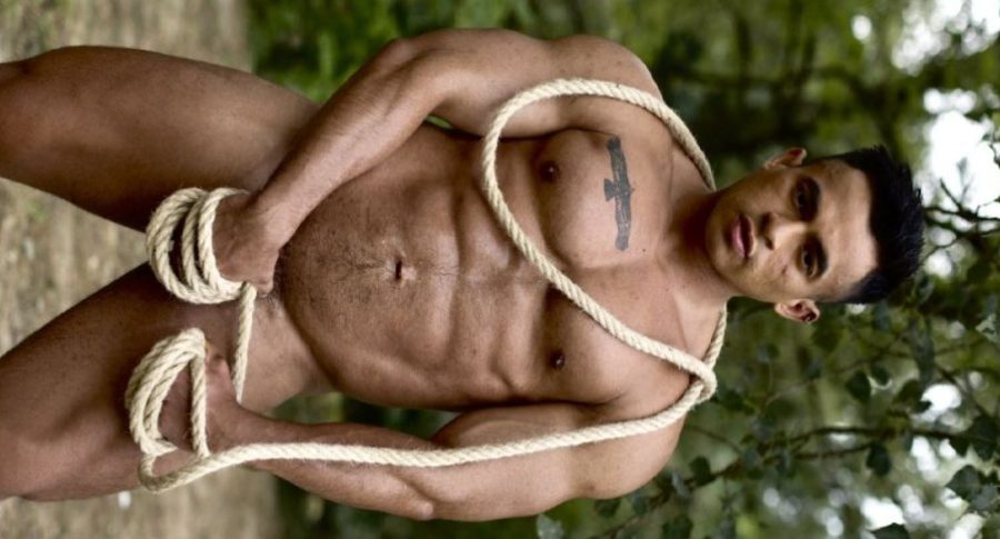 Dom Master