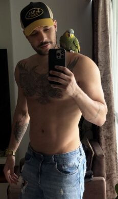 Ale 2